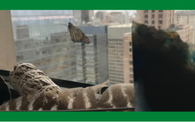 Sometimes you get a sign