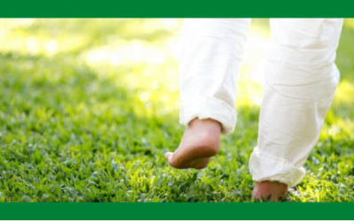 Meditation in Motion