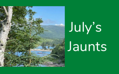 July’s Jaunts