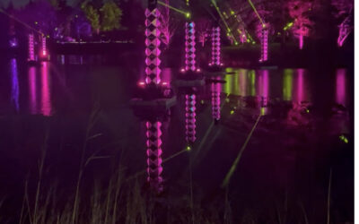 Lights, Laughter, Music