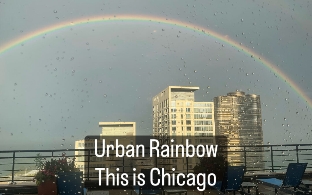 Urban Rainbow
