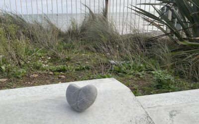 A Message from the Ocean