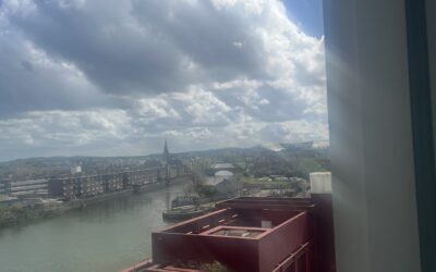 Feathering the New Nest