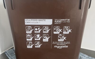 Nudges