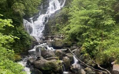 Spring on the Ring of Kerry